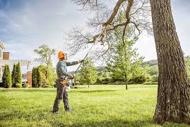 Best Hedge Trimming  in Woodlawn, MD